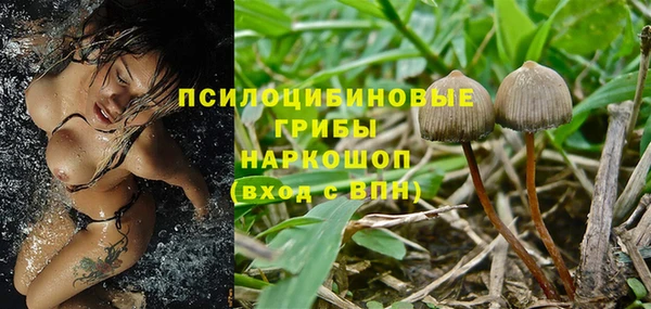 хмурый Абинск