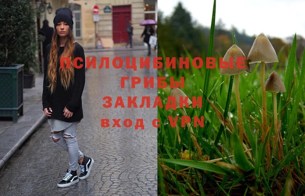 круглые Алексеевка
