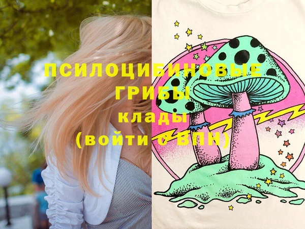 круглые Алексеевка